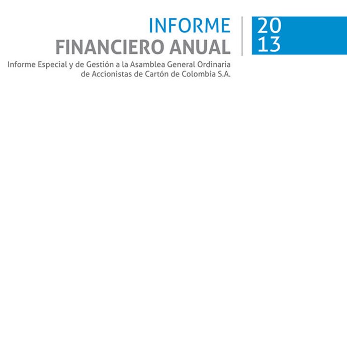 Informe Financiero Anual SKCC 2013