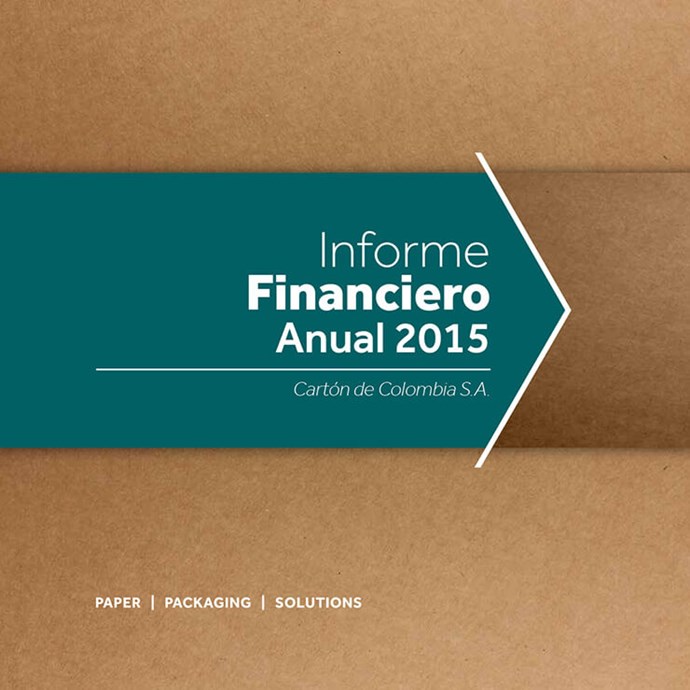 Informe Financiero Anual SKCC 2015