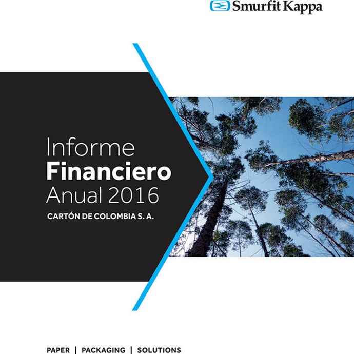Informe Financiero Anual SKCC 2016