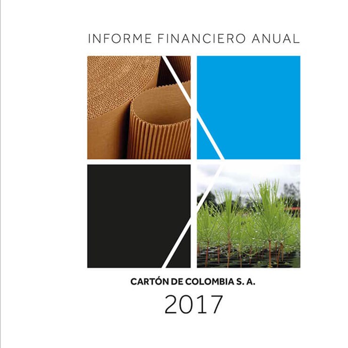 Informe Financiero Anual SKCC 2017