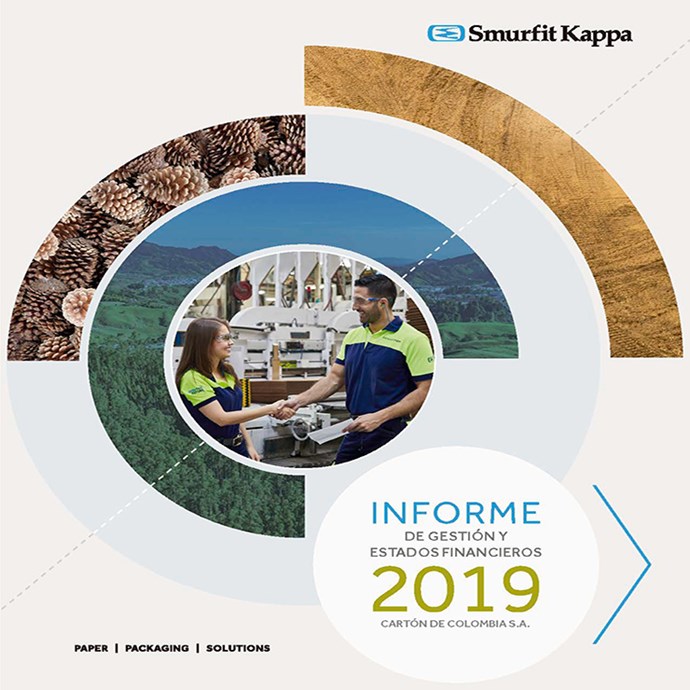 Informe-Financiero-Anual-SKCC-2019