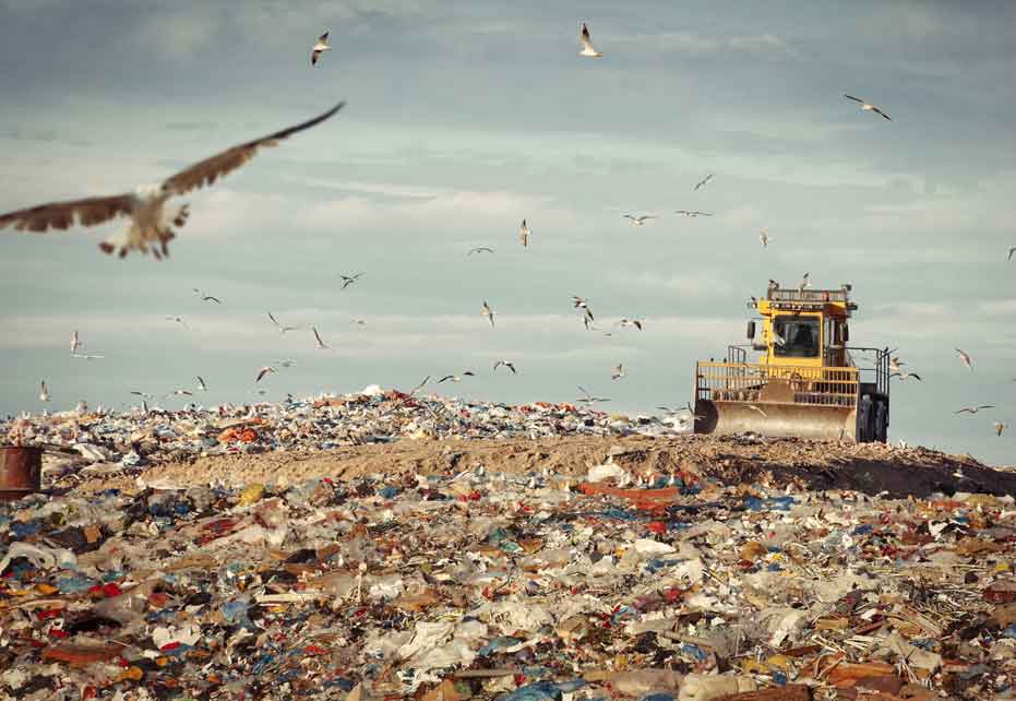As normas de reutilização obrigatória propostas ameaçam o melhor sistema de reciclagem do mundo