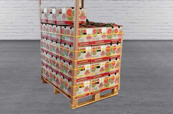 Levererans av en hållbar end-to-end förpackningslösning till en distributör av citrusfrukter
