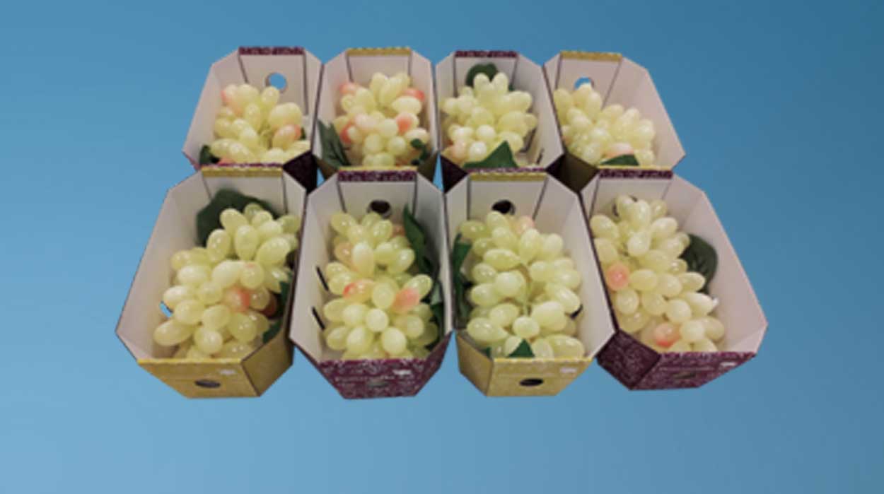 Grape punnets, punnets for grapes