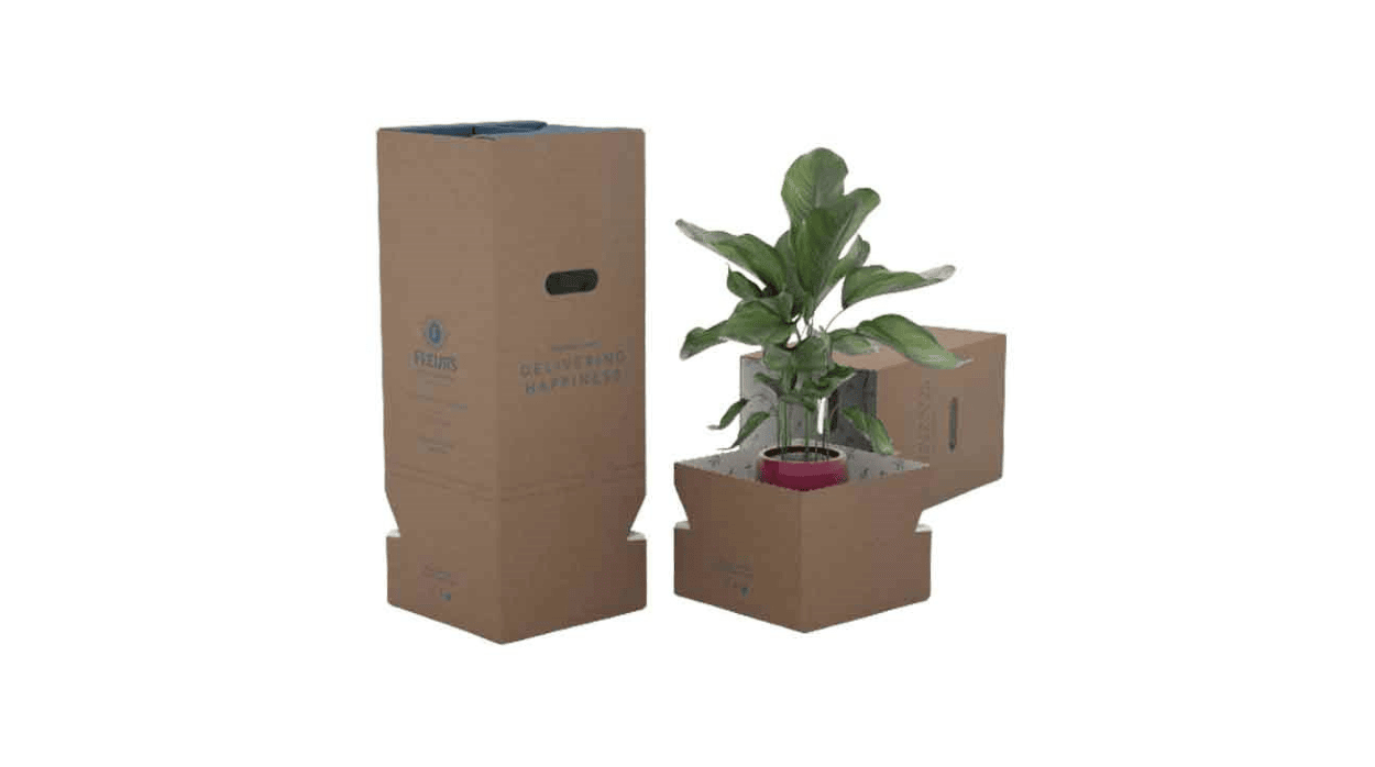 Plantina luxury packaging