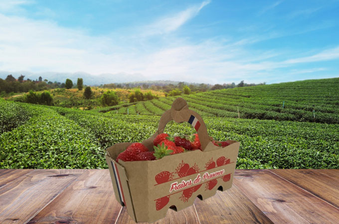 strawberry punnet, fruit punnet, strawberry packaging, fruit packaging