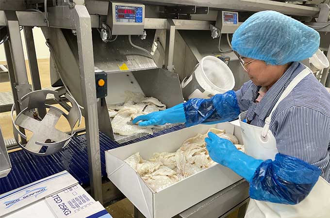 Jeka-Fish Packaging