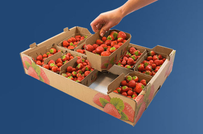 Paper-based fruit punnets