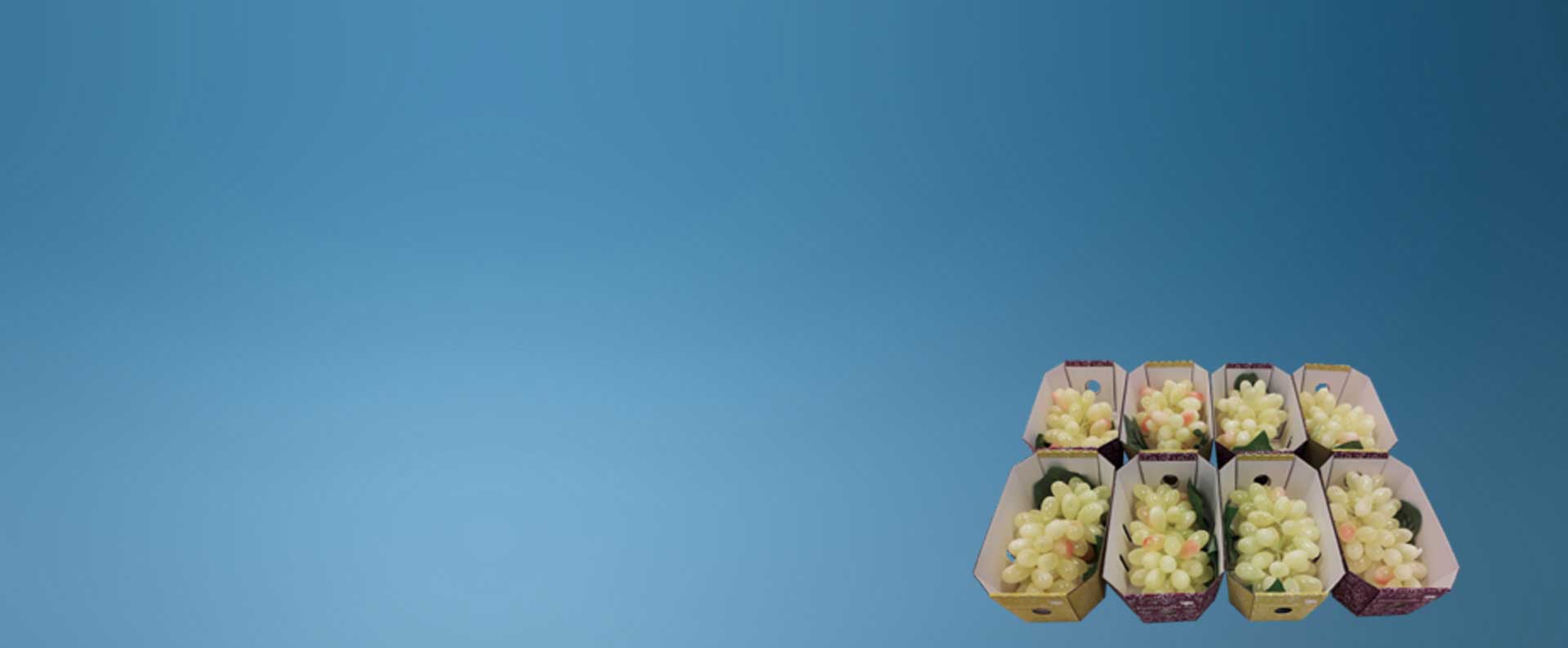 Grape Punnets, Punnets for grapes