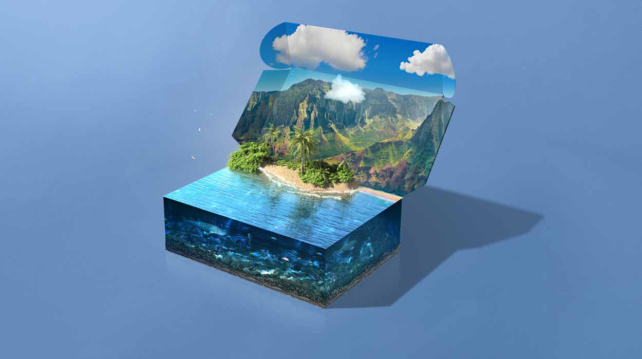 Sustainable Packaging