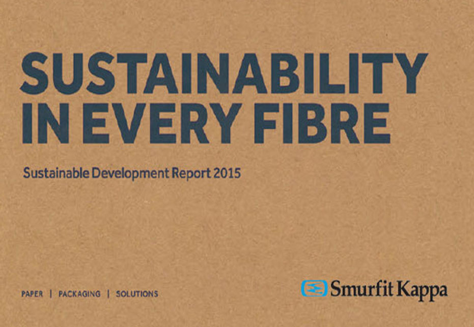 SDR Report 2015