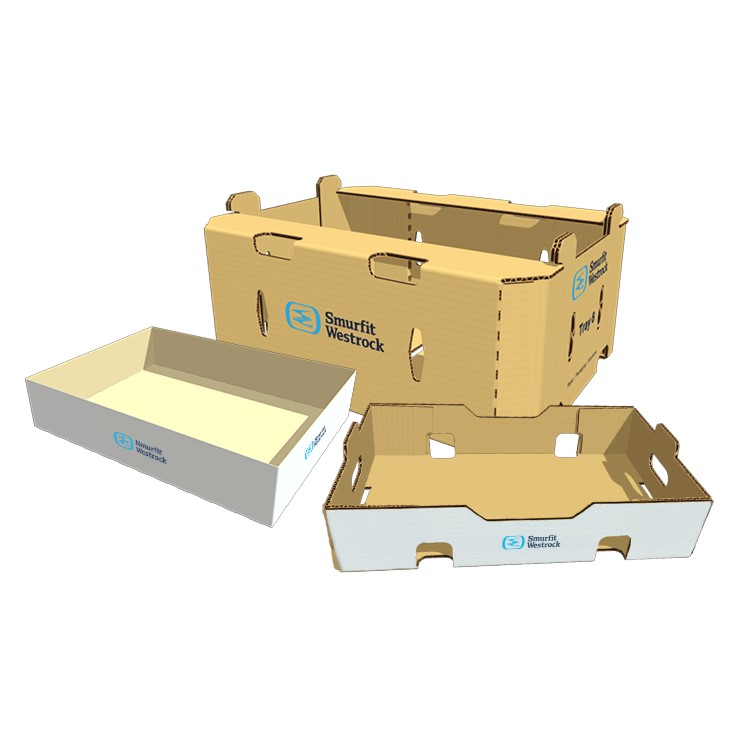 Corrugated Trays