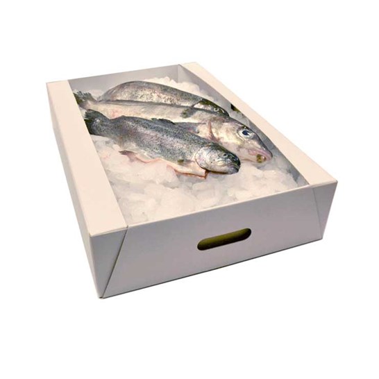 cardboard fish boxes Styrofoam Box 50LB Capacity LARGE FISH & CHIP BOX
