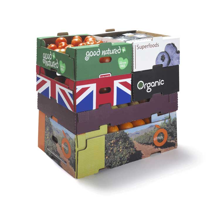 Verplaatsing collegegeld Filosofisch Smurfit Kappa - Paper | Packaging | Solutions