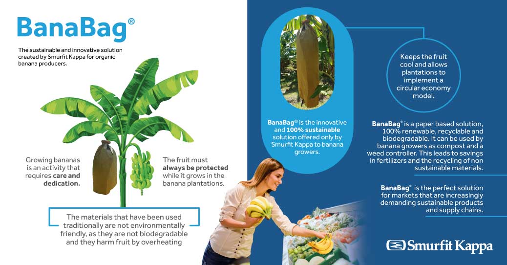 Maximex / WENKO Porta Banana Da Cucina - Contenitore Per Frutta Per Conservare Le Banane