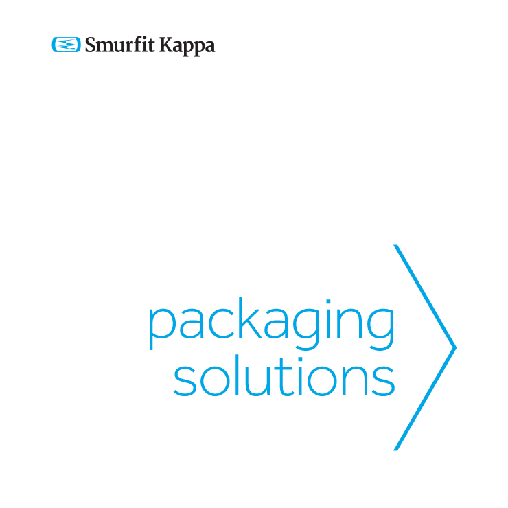 SKG_plc_Annual_Report_2013