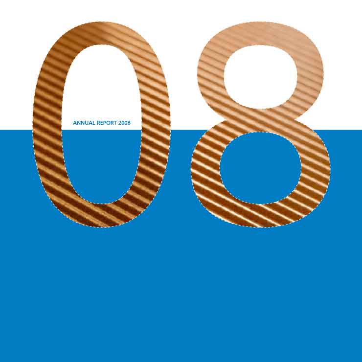 Annual Report 2008