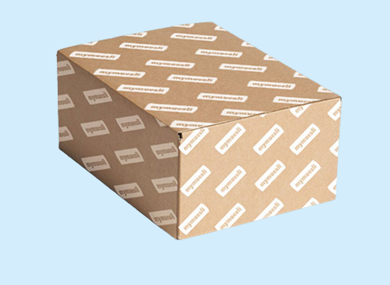 Corrugated Boxes packaging