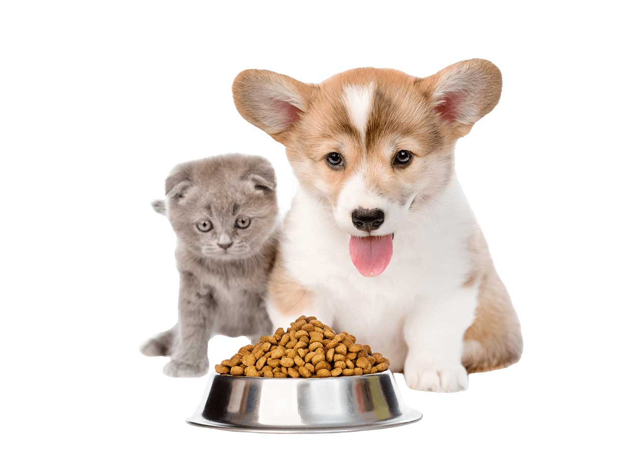 Pet Food Packaging | Smurfit Kappa