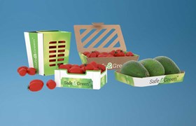 Cardboard punnets, Vegetable punnets, punnets for vegetables