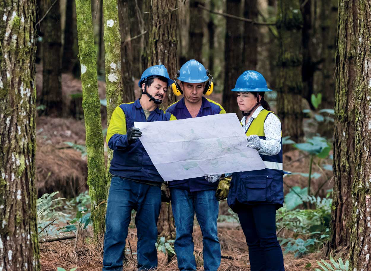 Forestry-workers