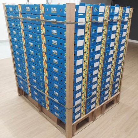 corrugated pallet, cardboard pallet, trays