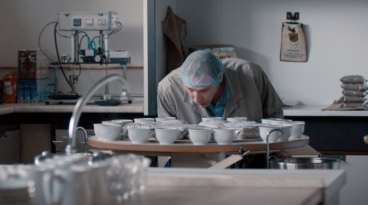 SAS Koffiee OFT Video