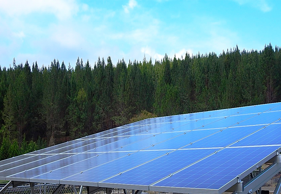 Smurfit Kappa Colombia pone en marcha su primera iniciativa de energía solar