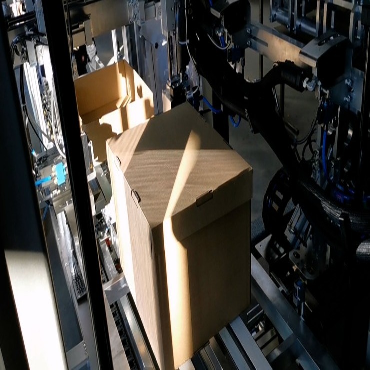 Deckelautomat Verpackungsmaschine Kartonansicht