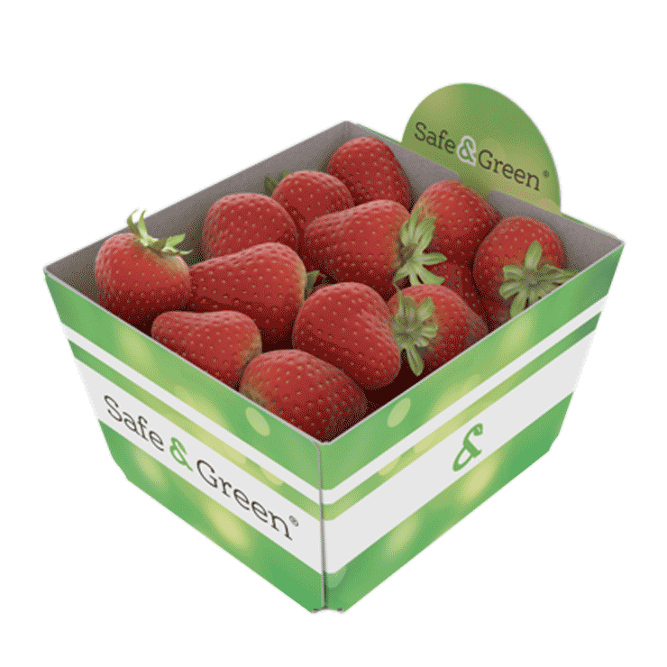Barquette en carton carré pour petits fruits et légumes comme les fraises