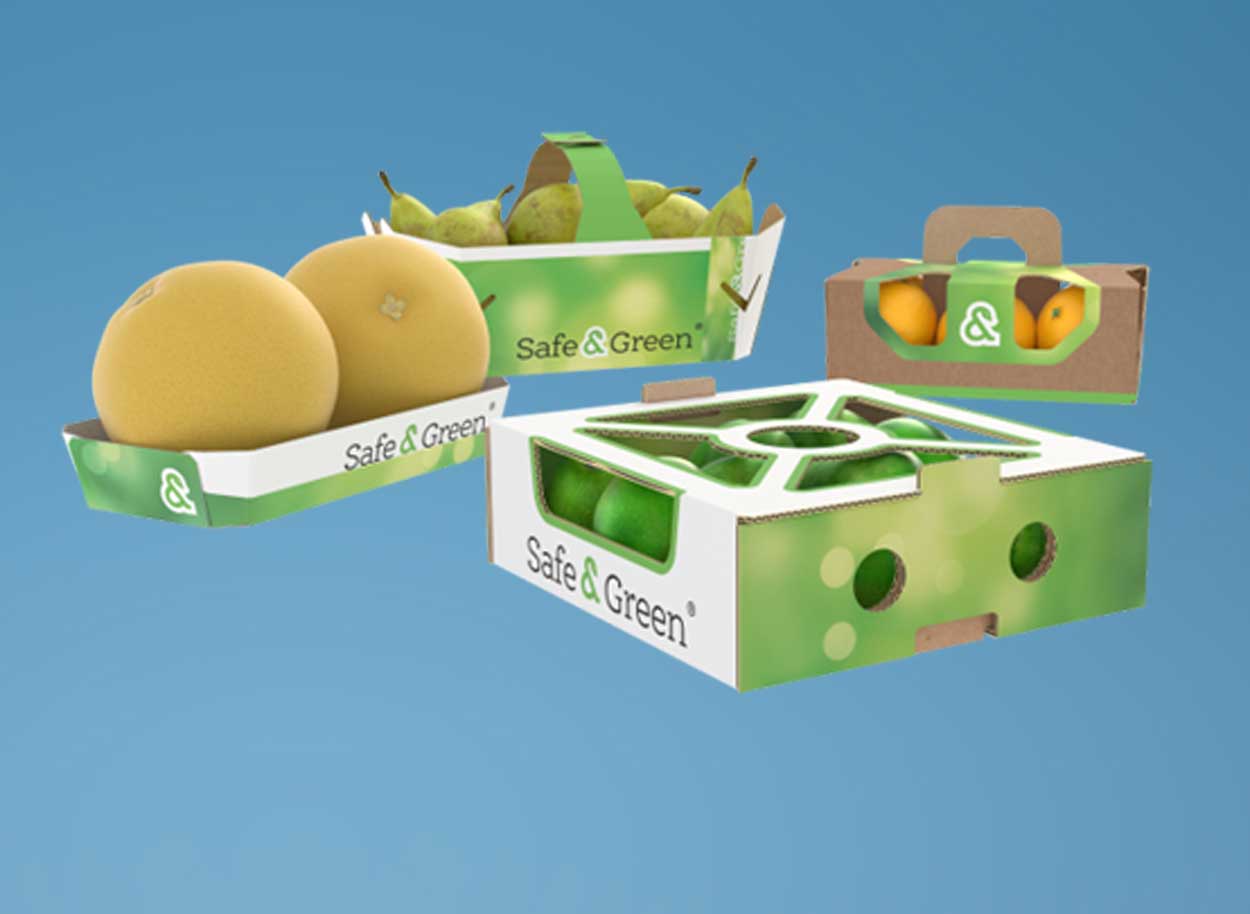 Emballage en carton ondulé Safe&Green pour fruits lourds 