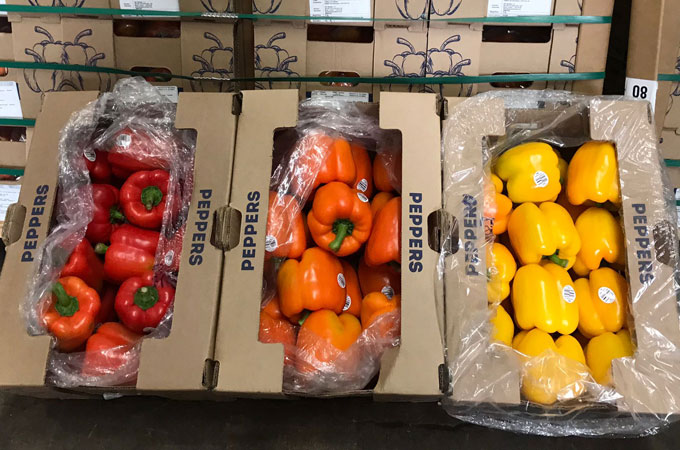 Bekijk hoe we Clasifruit hebben geholpen met het maken van vochtbestendige verpakkingen voor de eerste Colombiaanse export van paprika's