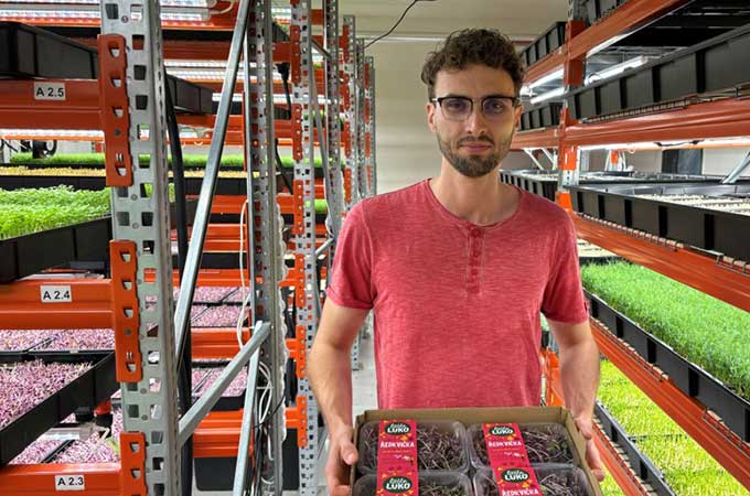 Het ondersteunen van de retailuitbreiding van Little Luko met geoptimaliseerde verpakkingen die zowel kosten als CO₂-uitstoot verminderen.