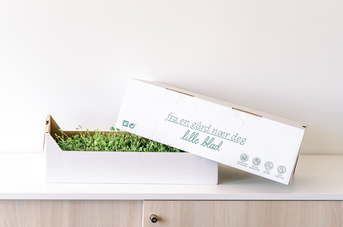 Ontdek hoe we Lille Blad, een Noorse leverancier van verse microgreens, hebben geholpen met een duurzame oplossing van golfkartonnen trays.