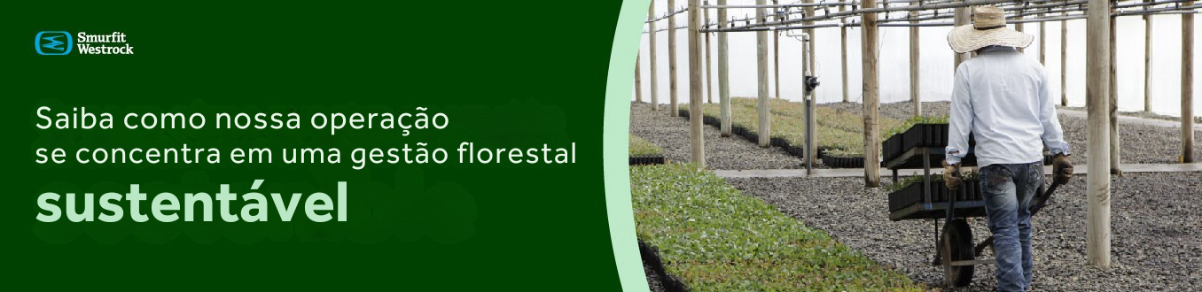 Funcionário em viveiro florestal transportando mudas em carrinho de mão, representando a gestão florestal sustentável da Smurfit Westrock.