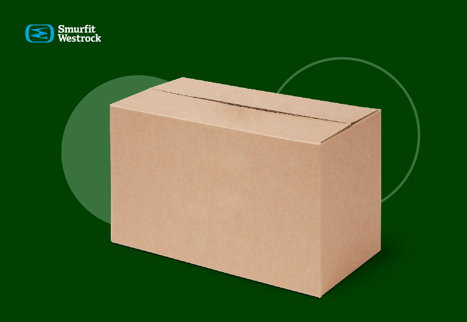 Papelão: Fabricação, Tipos, Usos e Sustentabilidade