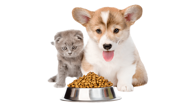 Pet Food