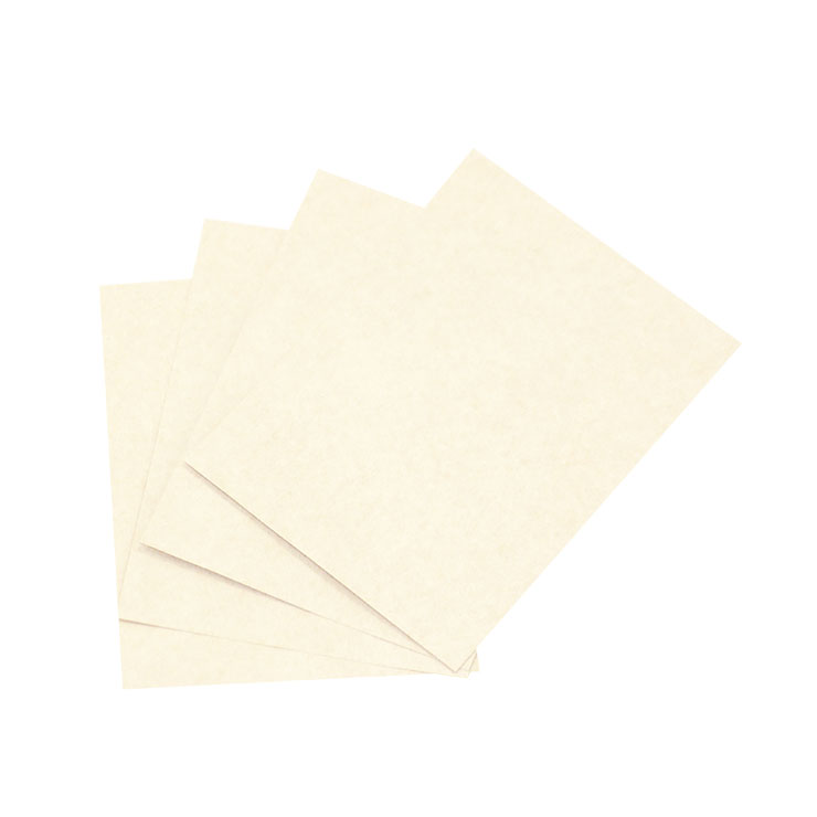 Chapa-de-papelão-bege