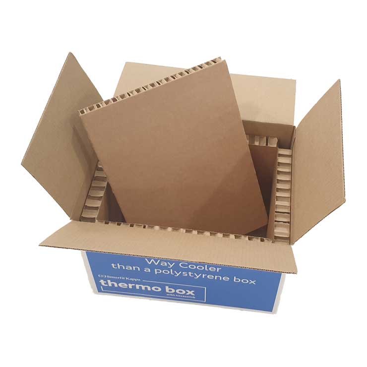 embalagem com isolamento térmico ThermoBox com tampa