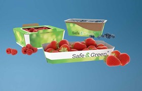 Cestos de papelão, Cesto para Frutas, Cesta de frutas