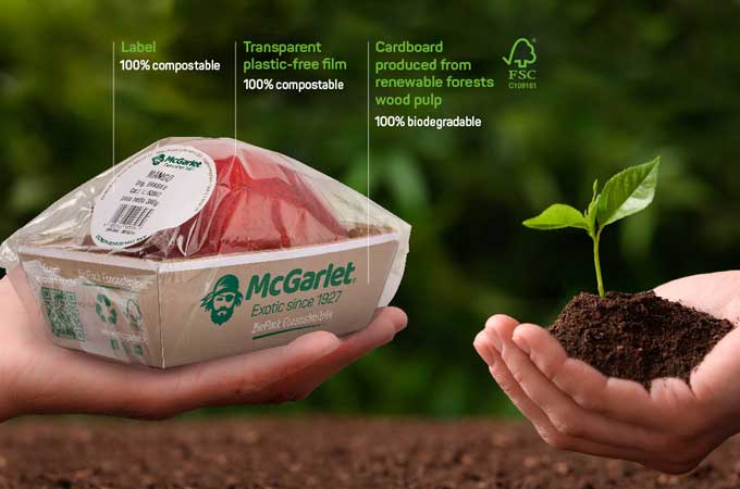 Veja como ajudamos a McGarlet, uma grande importadora de frutas da Itália, a obter embalagens sustentáveis e sem plástico.