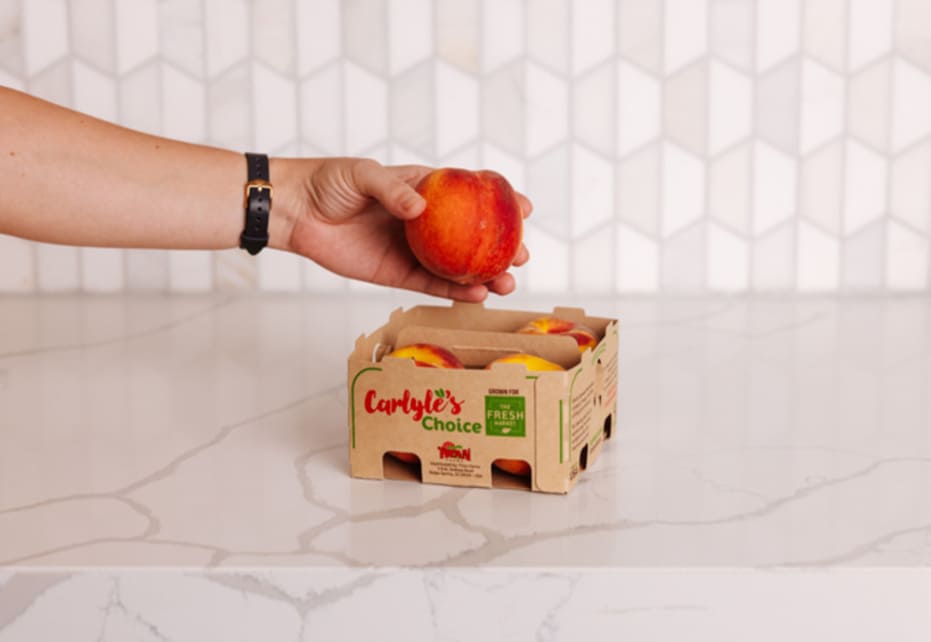 Ecodesign em embalagens: eficiência e sustentabilidade