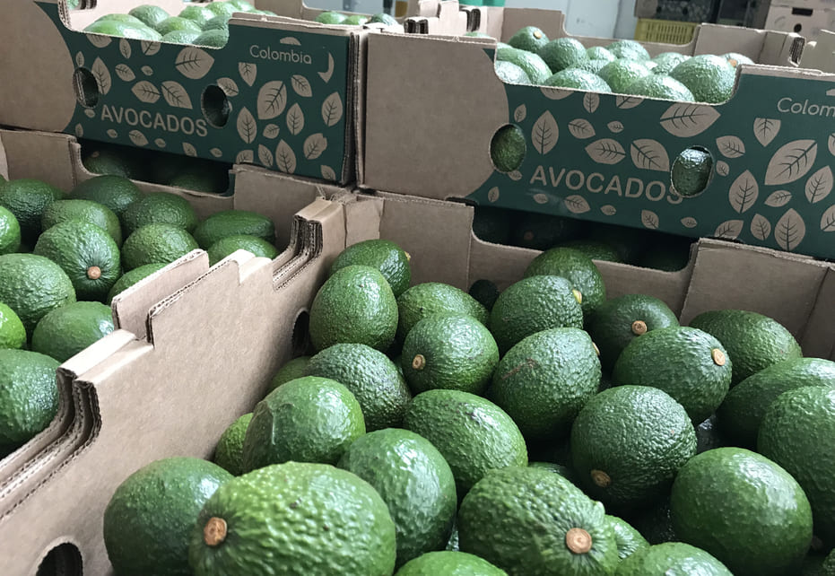 Como a embalagem adequada para frutas, legumes e verduras frescos ajuda a protegê-los contra perdas