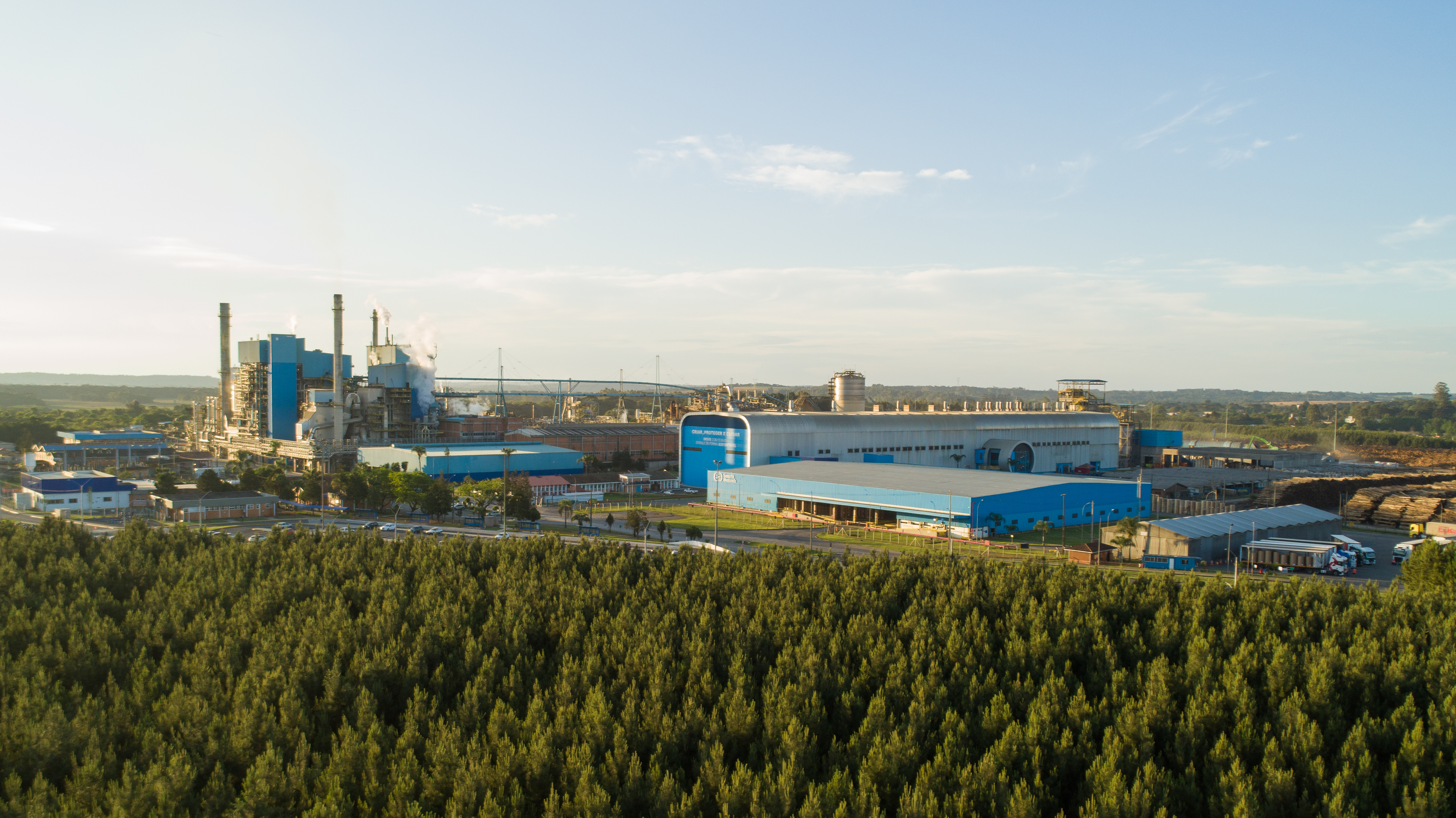Após um ano da fusão, Smurfit Westrock fortalece operação e impacto sustentável no Brasil
