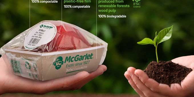 Nachhaltige, plastikfreie Obstverpackungen für den Einzelhandel