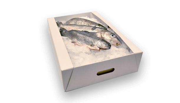 Verpackungen aus Vollpappe, Verpackungen für Fisch