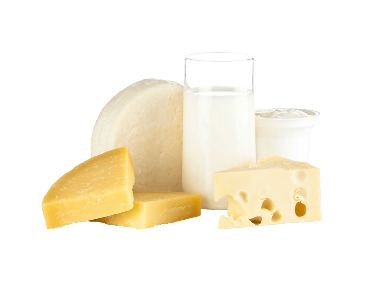 Verpackungen für Molkereiprodukte