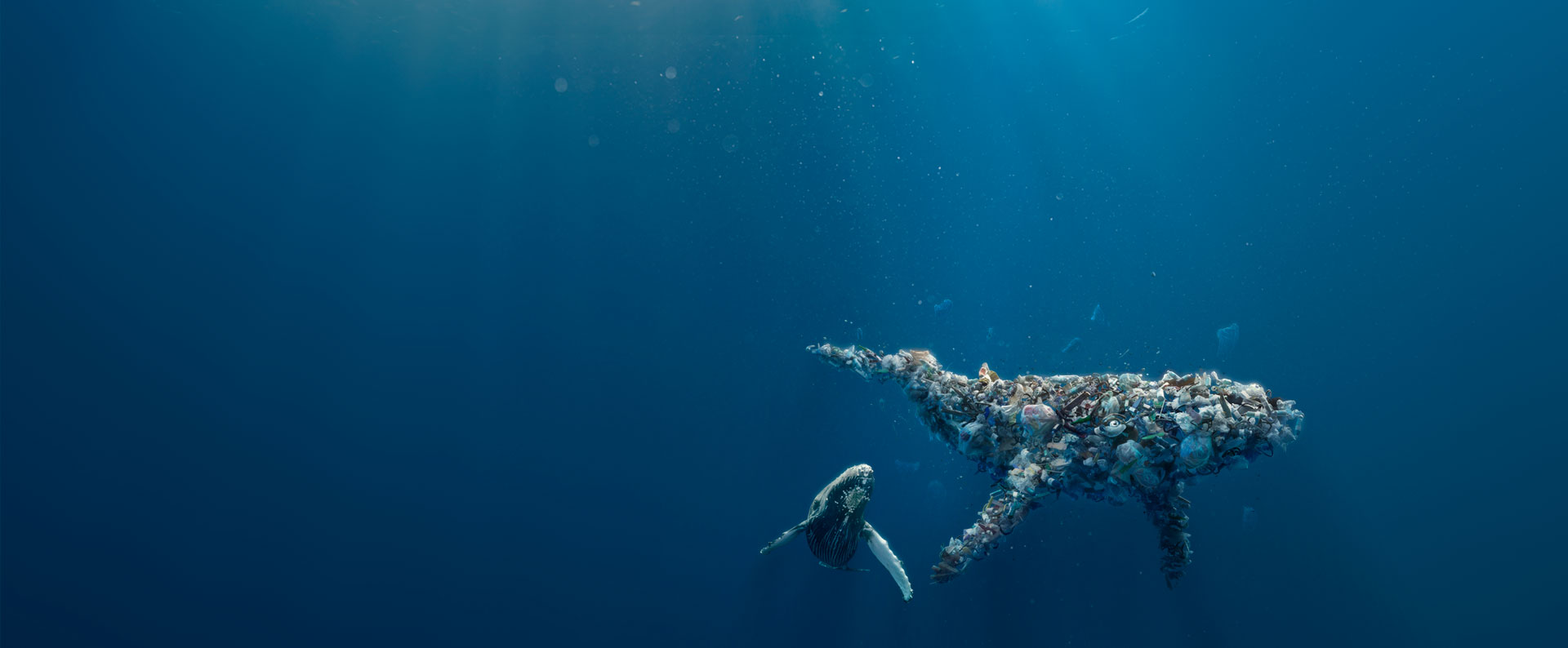 Better Planet Packaging 