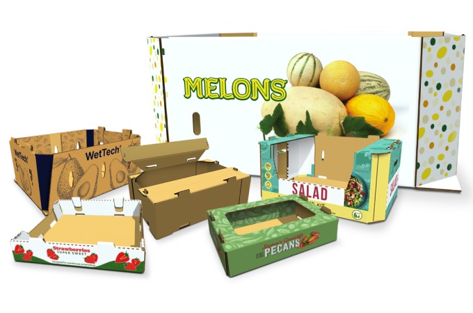FruitandVegetable_BL_PremiumDesigns