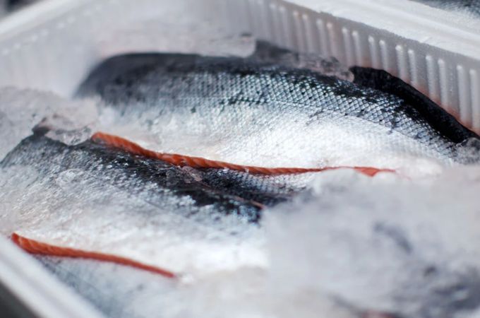 aquachile-the-challenge